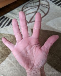 40代女性の手のひら画像左手